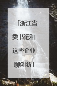 浙江省委书记和这些企业聊创新