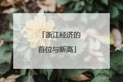 浙江经济的首位与新高