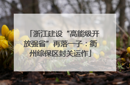 浙江建设“高能级开放强省”再落一子：衢州综保区封关运作