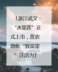 浙江武义：“水果莲”正式上市，莲农增收“致富果”注活力