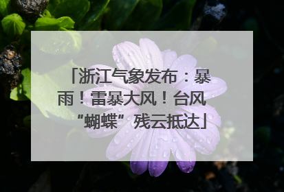 浙江气象发布：暴雨！雷暴大风！台风“蝴蝶”残云抵达