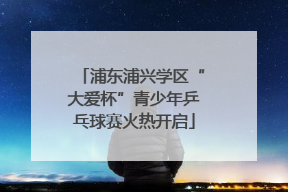浦东浦兴学区“大爱杯”青少年乒乓球赛火热开启