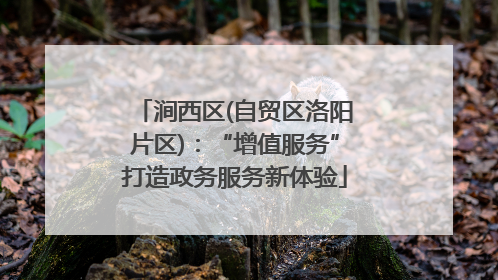 涧西区(自贸区洛阳片区)：“增值服务”打造政务服务新体验