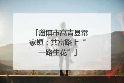 淄博市高青县常家镇：共富路上“一路生花”