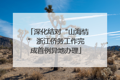 深化结对“山海情” 浙江侨务工作完成首例异地办理