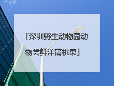 深圳野生动物园动物尝鲜洋蒲桃果