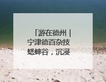 游在德州｜宁津德百杂技蟋蟀谷，沉浸式文旅盛宴