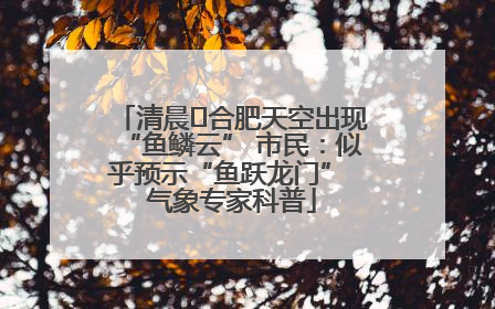清晨﻿合肥天空出现“鱼鳞云” 市民：似乎预示“鱼跃龙门” 气象专家科普