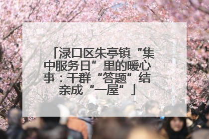 渌口区朱亭镇“集中服务日”里的暖心事：干群“答题”结亲成“一屋”