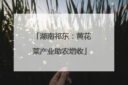 湖南祁东：黄花菜产业助农增收