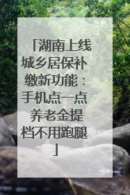 湖南上线城乡居保补缴新功能：手机点一点 养老金提档不用跑腿