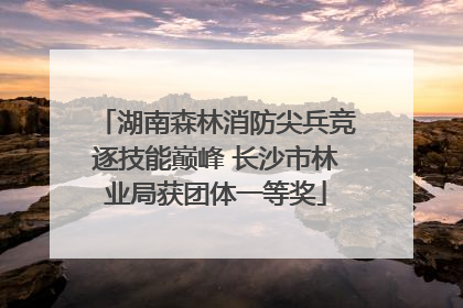 湖南森林消防尖兵竞逐技能巅峰 长沙市林业局获团体一等奖