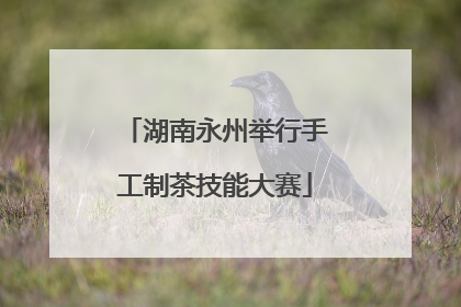 湖南永州举行手工制茶技能大赛