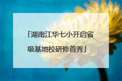 湖南江华七小开启省级基地校研修首秀