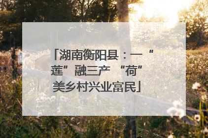 湖南衡阳县：一“莲”融三产 “荷”美乡村兴业富民