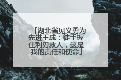 湖北省见义勇为先进王成：徒手握住利刃救人，这是我的责任和使命