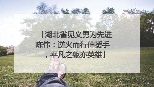湖北省见义勇为先进陈伟：逆火而行伸援手，平凡之躯亦英雄