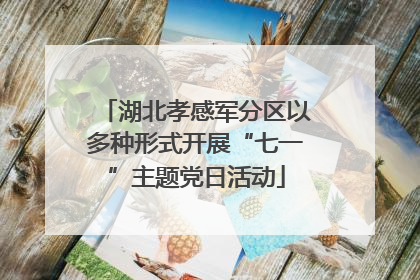 湖北孝感军分区以多种形式开展“七一”主题党日活动