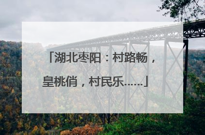 湖北枣阳：村路畅，皇桃俏，村民乐……