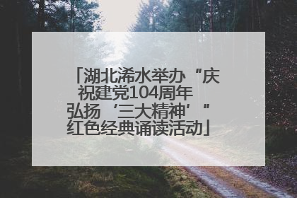 湖北浠水举办“庆祝建党104周年 弘扬‘三大精神’”红色经典诵读活动