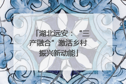 湖北远安：“三产融合”激活乡村振兴新动能
