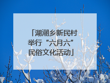 湖潮乡新民村举行“六月六”民俗文化活动
