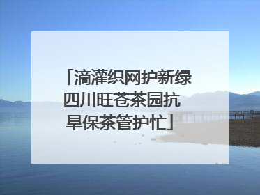 滴灌织网护新绿 四川旺苍茶园抗旱保茶管护忙