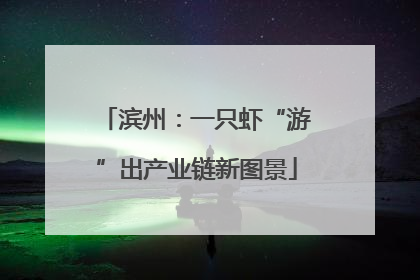 滨州：一只虾“游”出产业链新图景