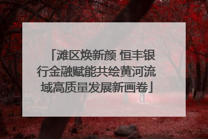 滩区焕新颜 恒丰银行金融赋能共绘黄河流域高质量发展新画卷