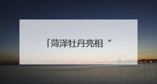 菏泽牡丹亮相“哈洽会”撬动国际合作新机遇