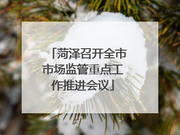 菏泽召开全市市场监管重点工作推进会议