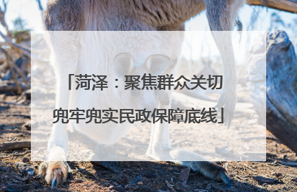 菏泽：聚焦群众关切 兜牢兜实民政保障底线