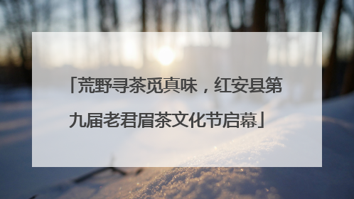 荒野寻茶觅真味，红安县第九届老君眉茶文化节启幕