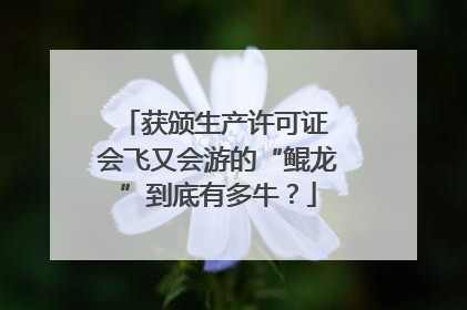 获颁生产许可证 会飞又会游的“鲲龙”到底有多牛？