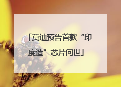 莫迪预告首款“印度造”芯片问世