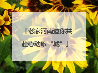 老家河南邀你共赴心动旅“城”