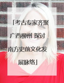 考古专家齐聚广西柳州 探讨南方史前文化发展脉络