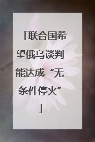 联合国希望俄乌谈判能达成“无条件停火”
