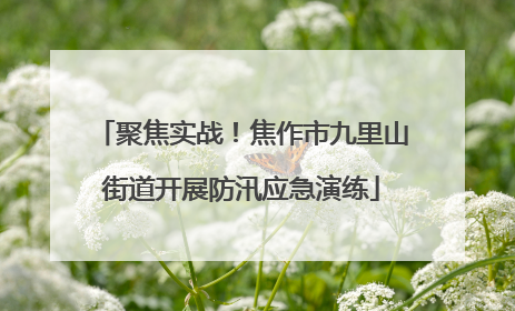 聚焦实战！焦作市九里山街道开展防汛应急演练