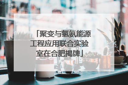 聚变与氢氨能源工程应用联合实验室在合肥揭牌
