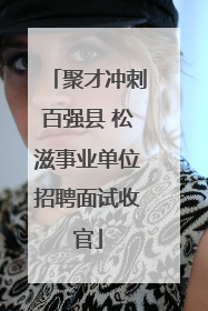 聚才冲刺百强县 松滋事业单位招聘面试收官