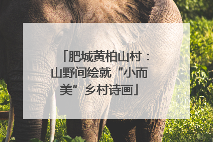 肥城黄柏山村：山野间绘就“小而美”乡村诗画