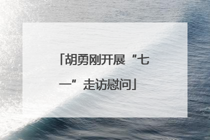 胡勇刚开展“七一”走访慰问