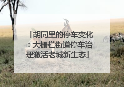 胡同里的停车变化：大栅栏街道停车治理激活老城新生态