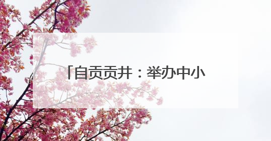 自贡贡井：举办中小学生书画传习大赛