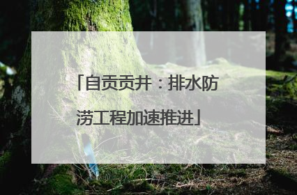 自贡贡井：排水防涝工程加速推进