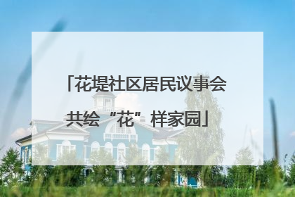 花堤社区居民议事会共绘“花”样家园