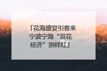 花海盛宴引客来 宁波宁海“赏花经济”别样红