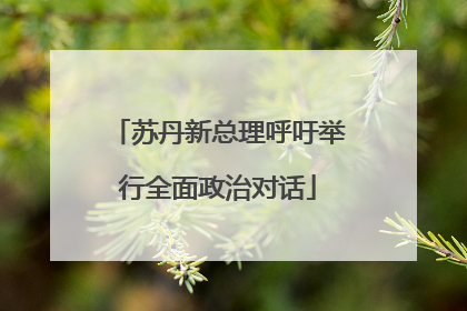 苏丹新总理呼吁举行全面政治对话