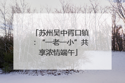 苏州吴中胥口镇：“一老一小”共享浓情端午